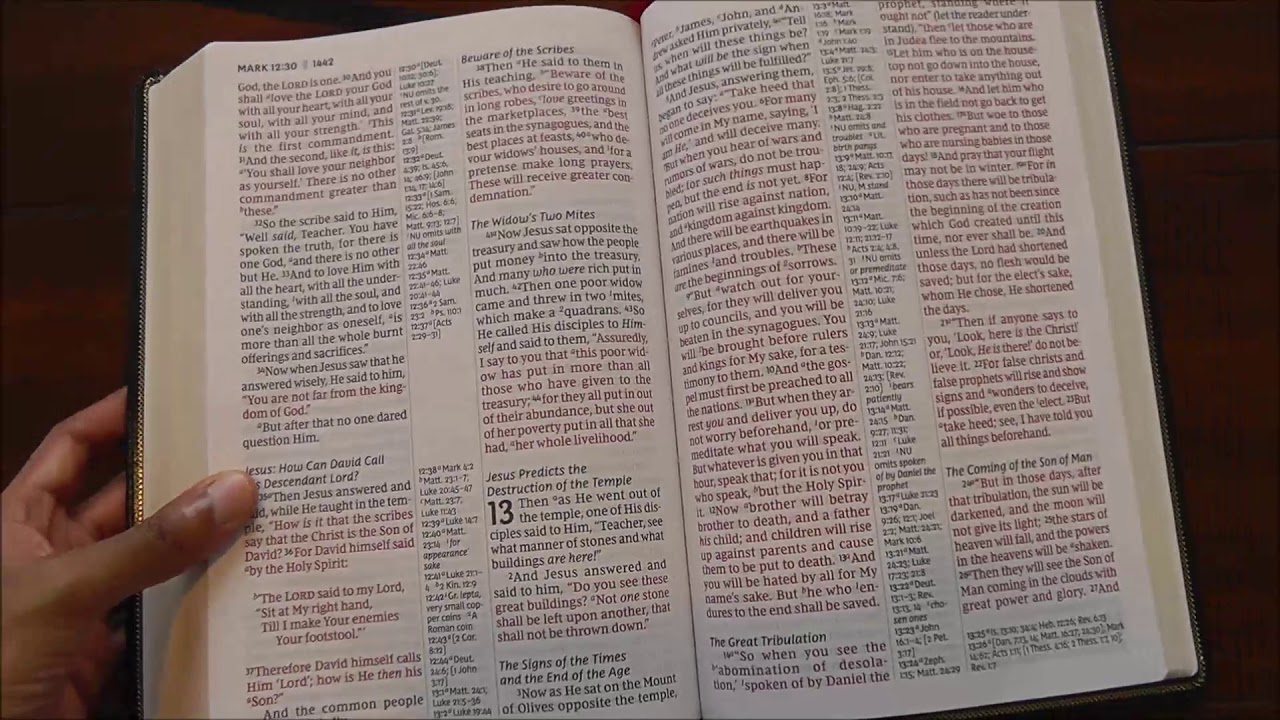 Review of Comfort Print NKJV, Deluxe Reference Bible, Center Column Giant Print, Leathersoft