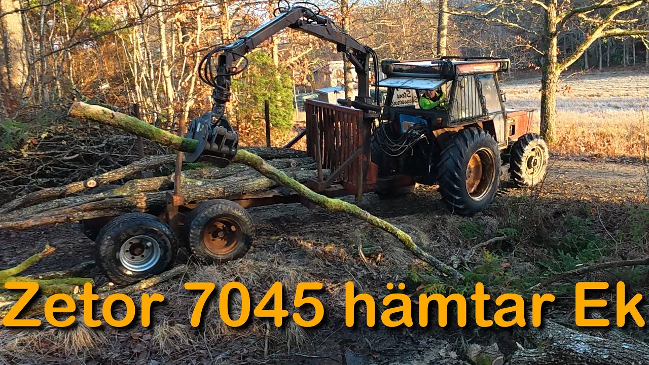 Hämtar en ek med Zetor 7045 och griplastare (Tröskagarget del 2)