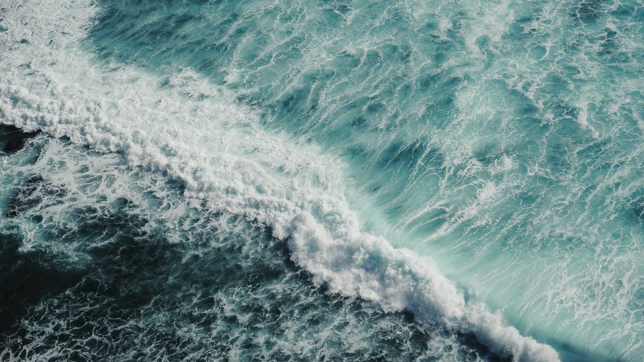 Summer Beach Vibes 🌊 | Feel Good Ocean Music | Chill & Fun ☀️