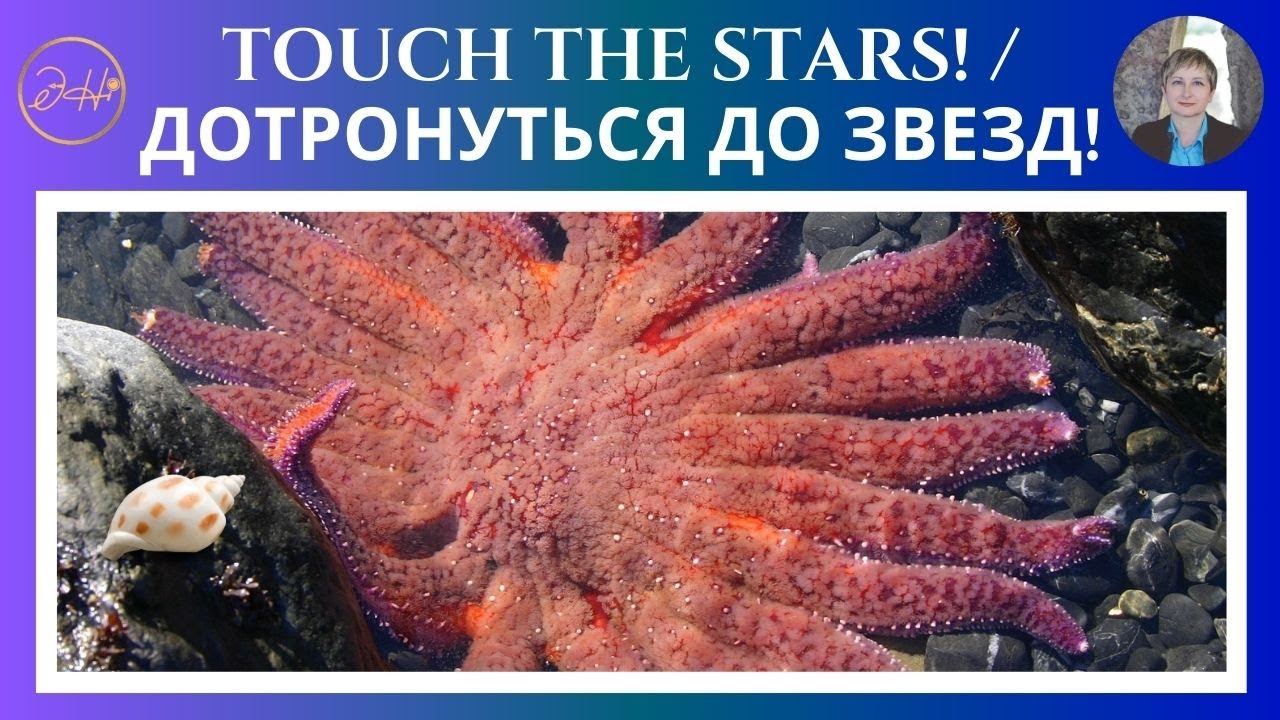 Touch the stars! / Дотронуться до звезд!