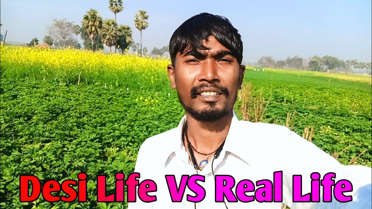 Desi Life VS Real Life 😀 #vlog 