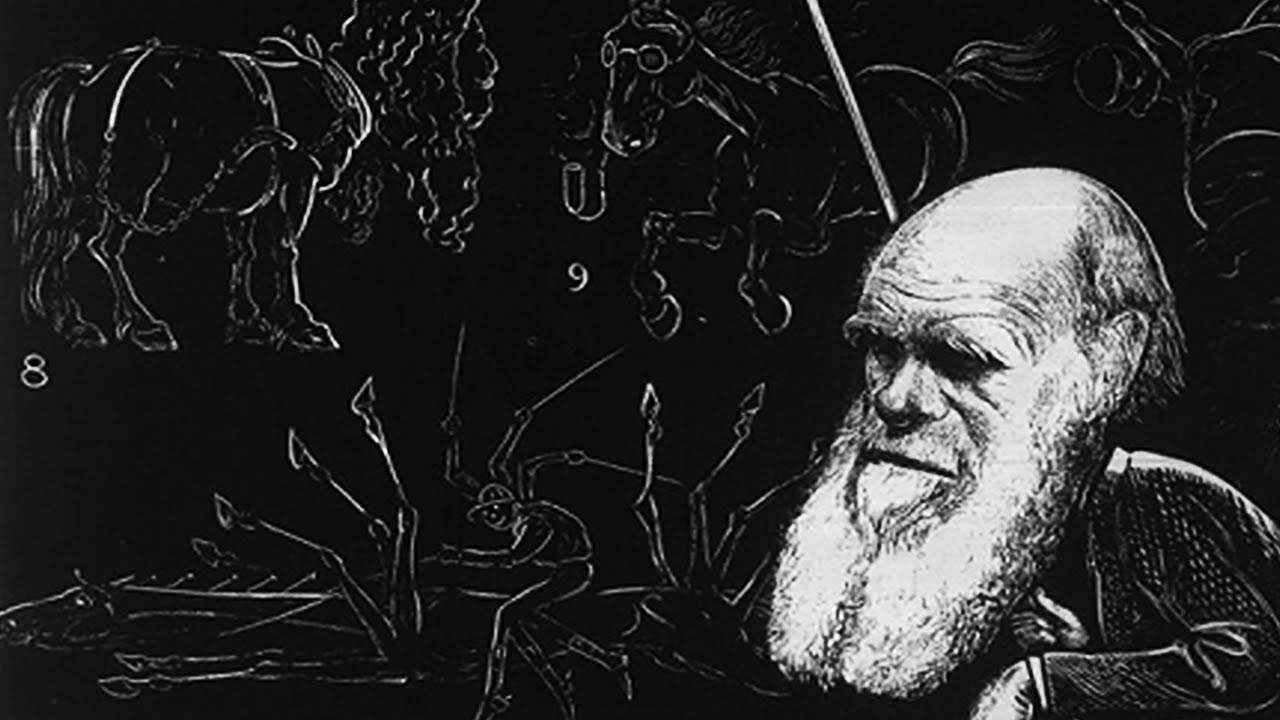 Jak nauczyłem komputer czytać Darwina