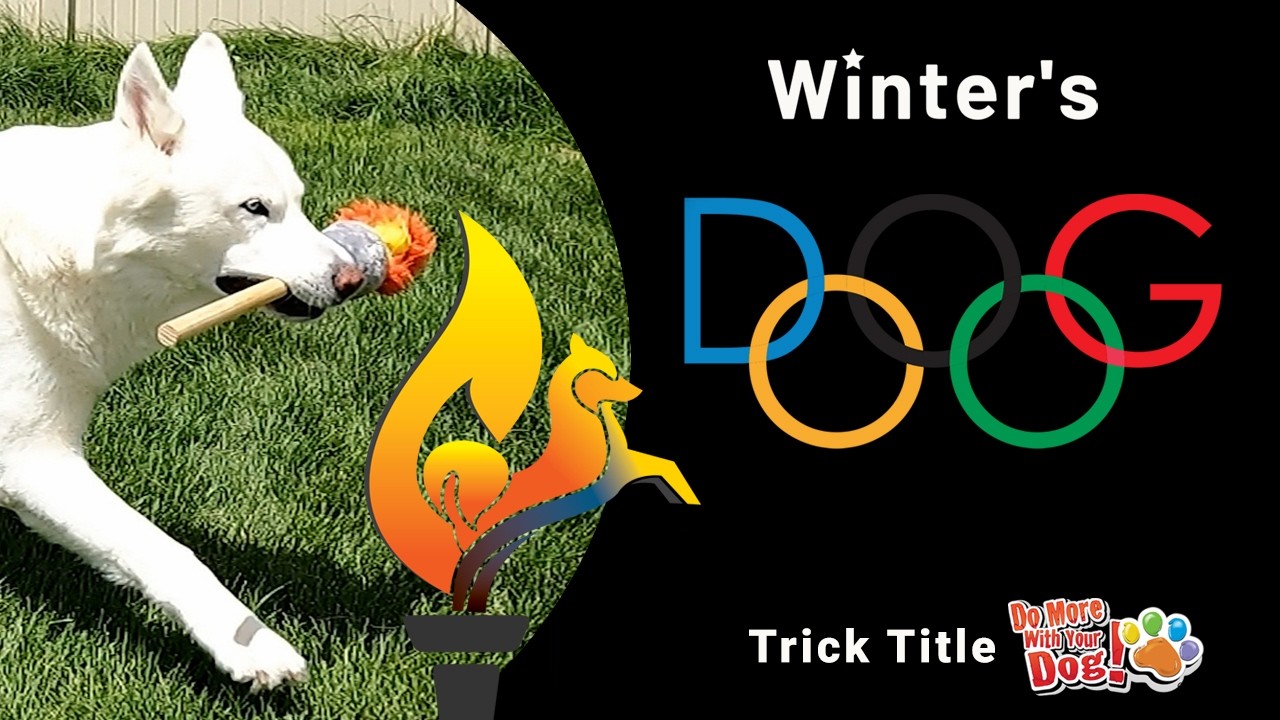 Winter's Dog-lympics DMWYD Pentathlon Series #5 Torch Relay