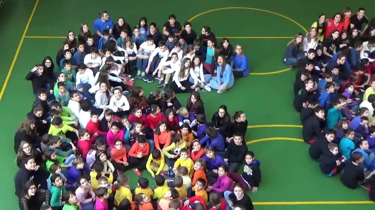 Pàlcam 60 aniversari 1955-2015