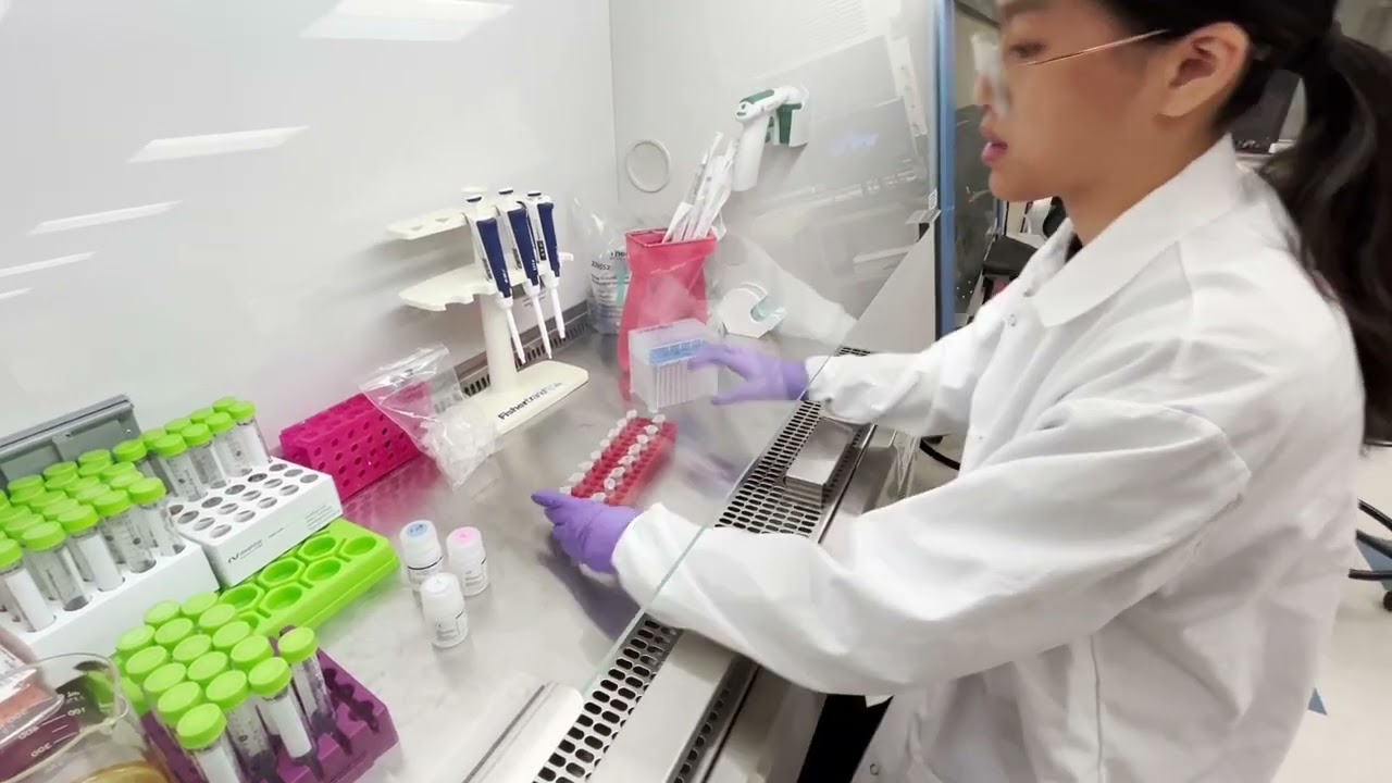 Plasmid DNA Amplification and Isolation | Day 3: Plasmid DNA Isolation