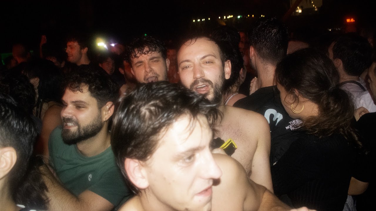 La Élite - Gatos callejeros / La Riviera / 2024-11-21