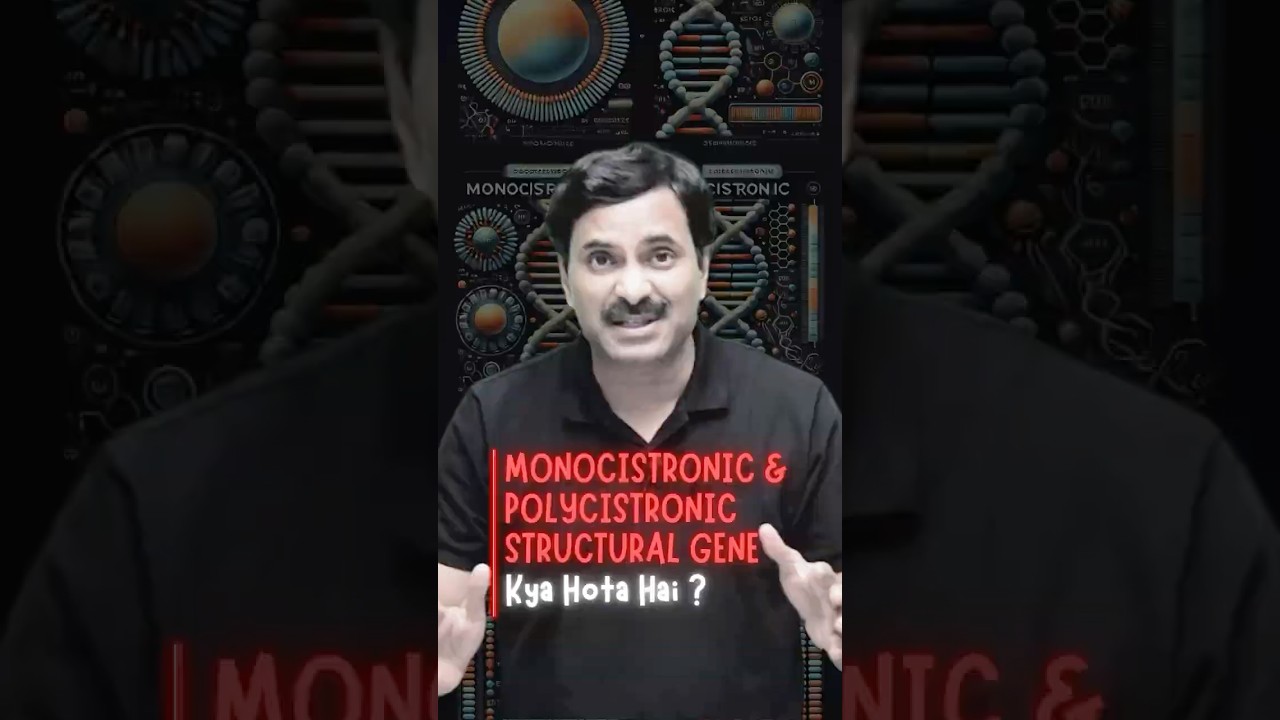 Monocistronic & Polycistronic Structural Gene | Explained ✔️ #neet #drnsjain #biology