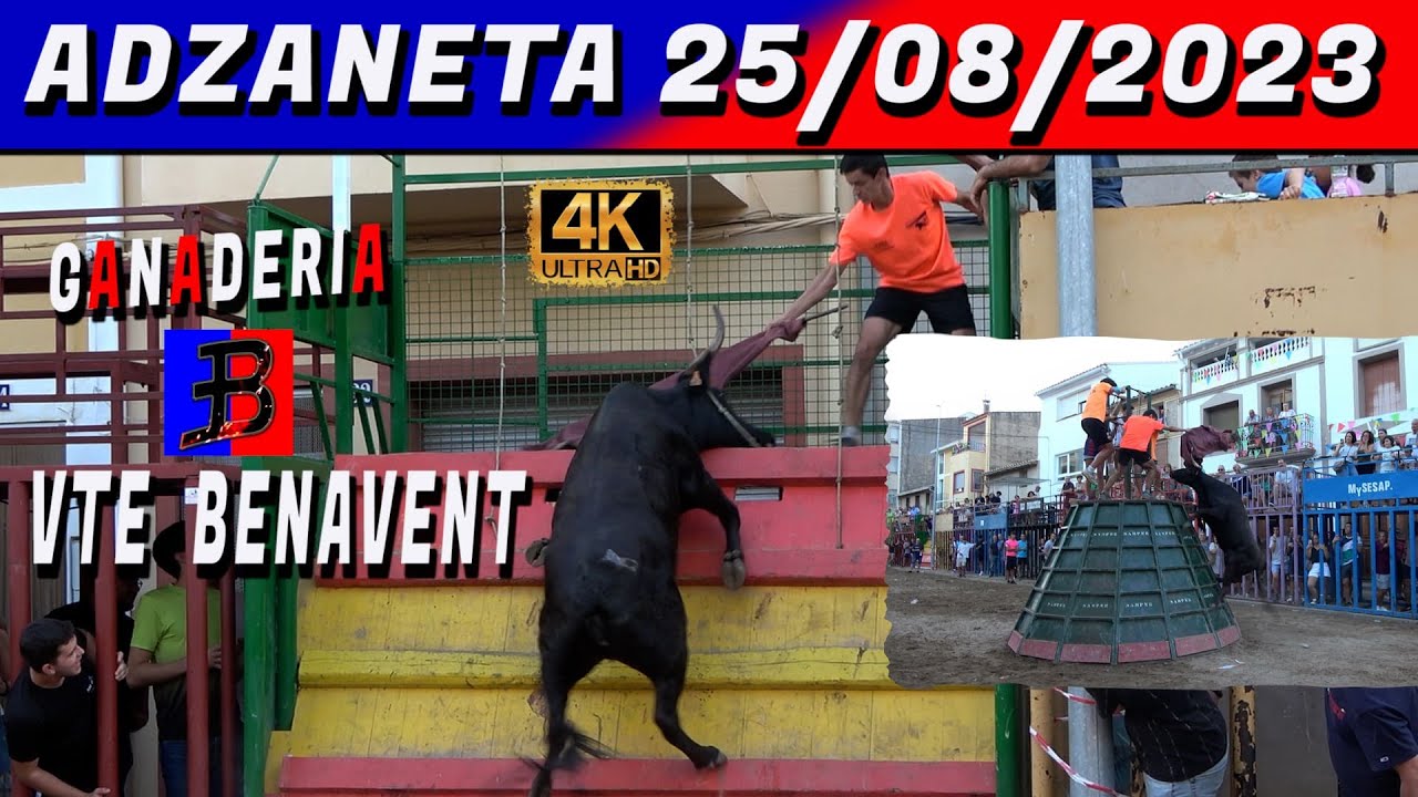 👀👉👌ADZANETA 2023 BENAVENT