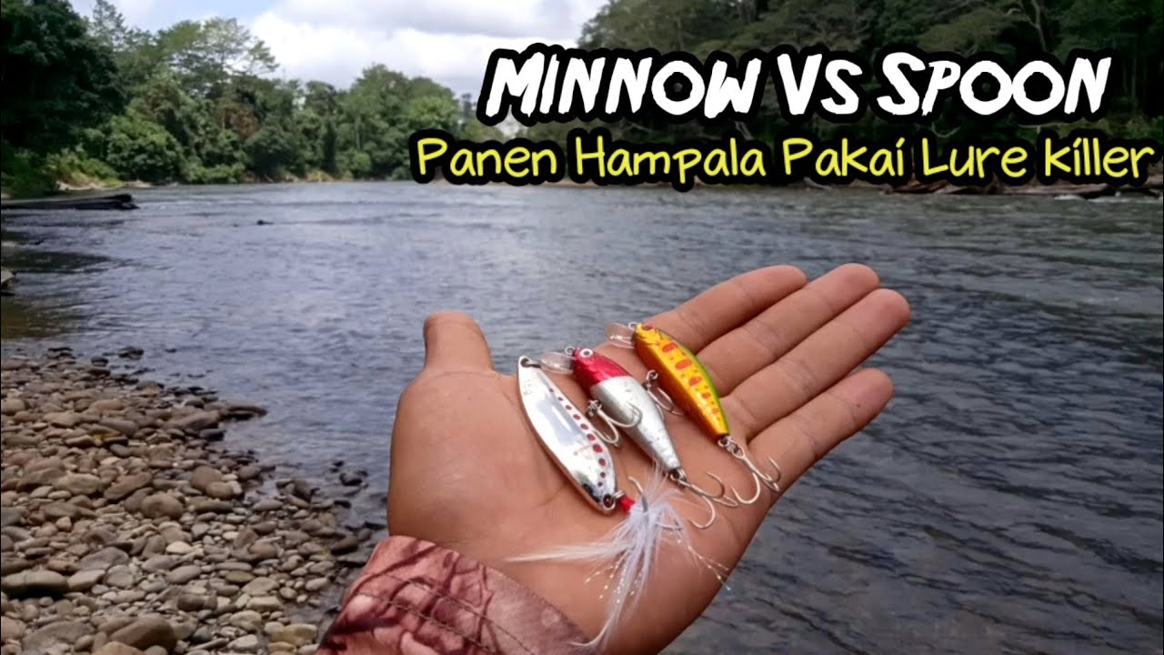 Lure Killer Untuk Casting Hampala‼️Casting Hampala Menggunakan Spoon dan Minnow