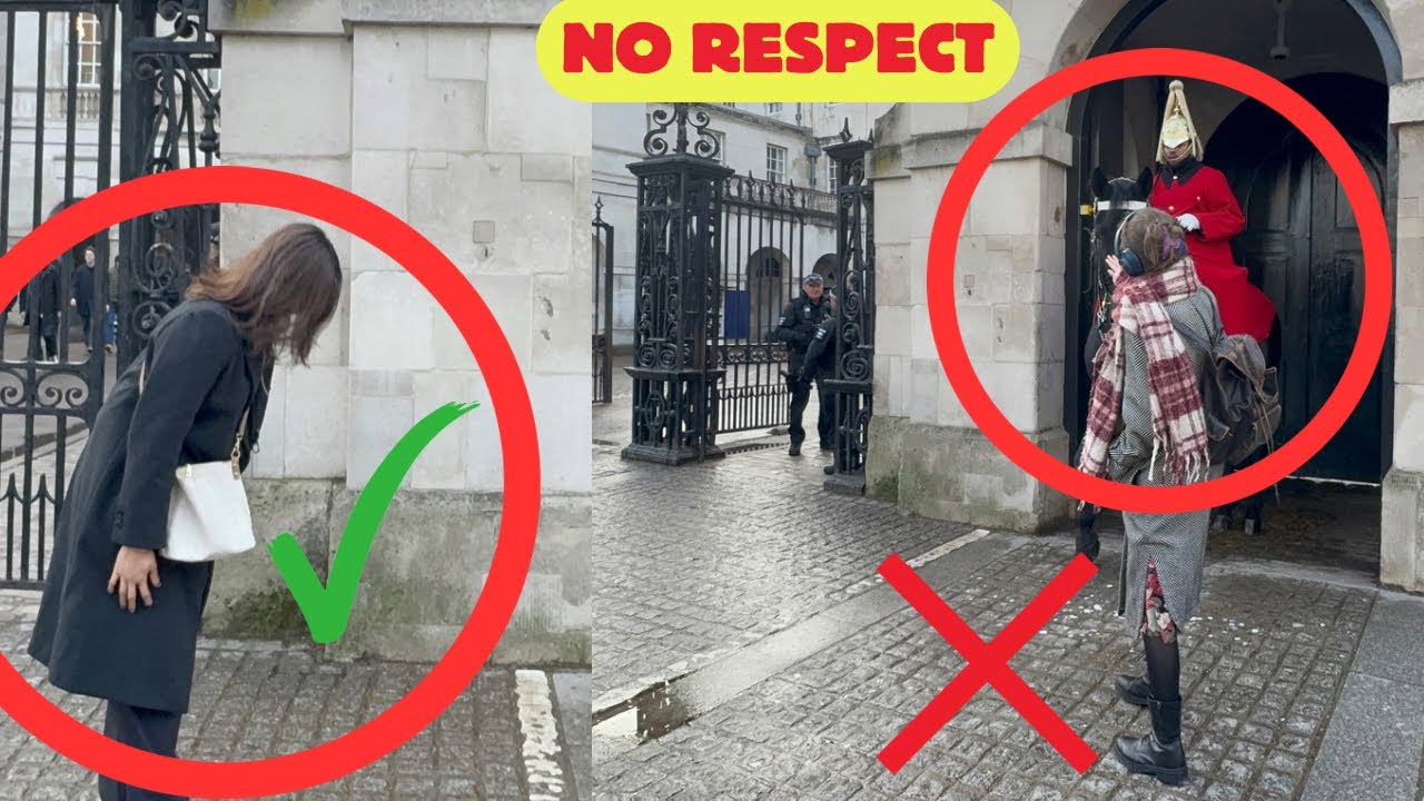 DISRESPECT! Woman Touches the Horse Guard Orders Her to Move Back