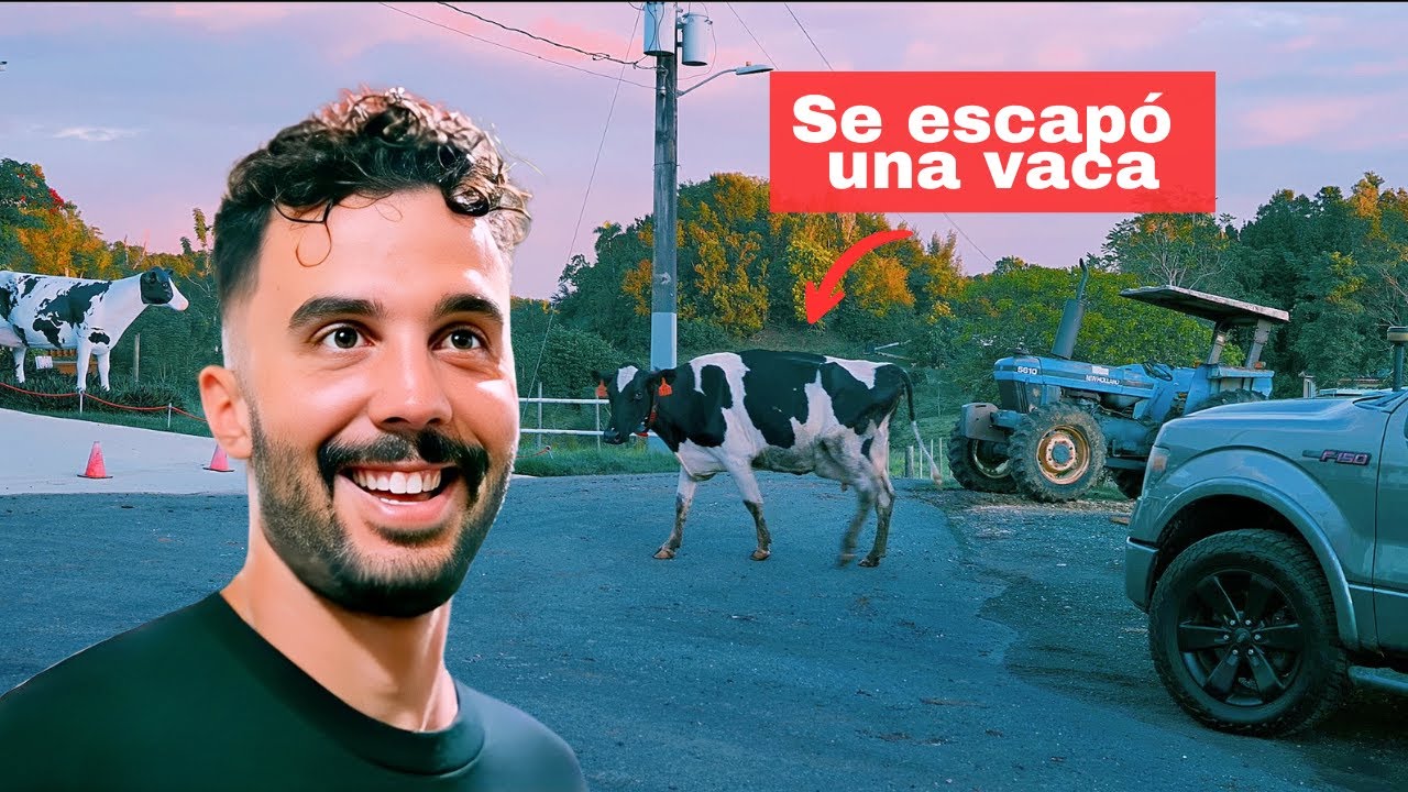 Trabajé Un Día Como Ganadero (Ordeñando Vacas) 🐮
