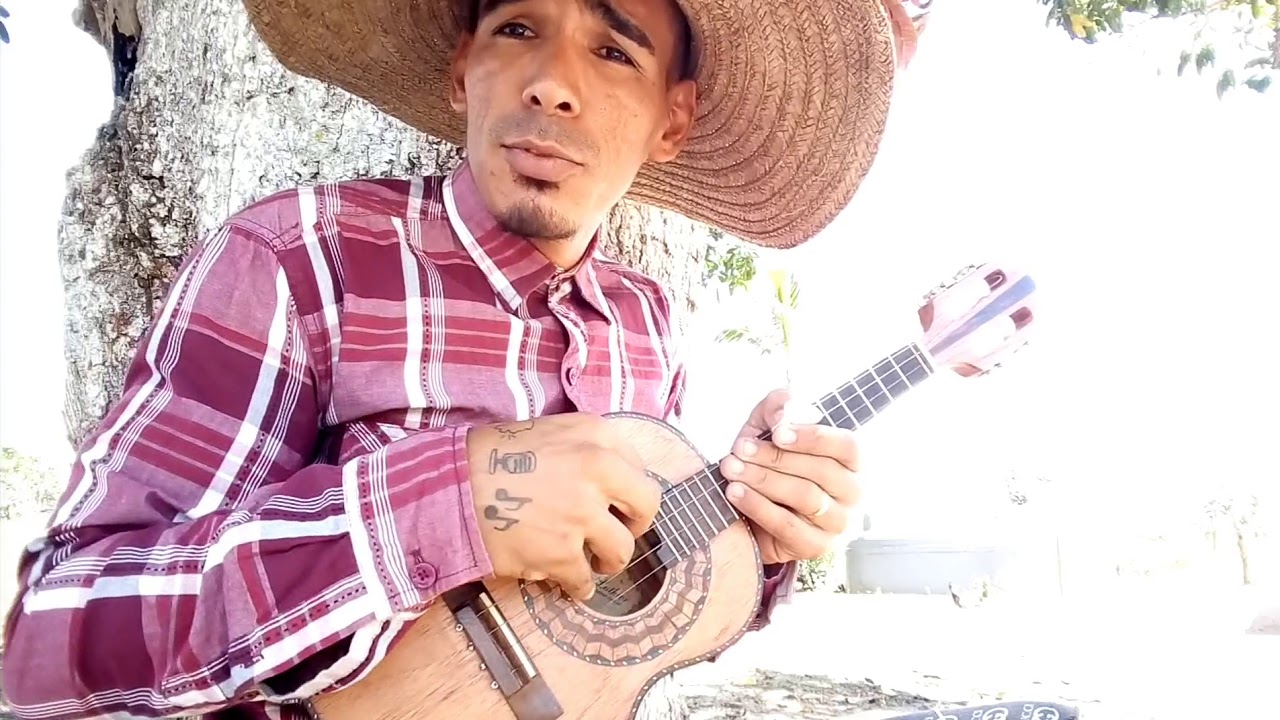 Eu só quero um xodó - Cavaco (Dominguinhos)