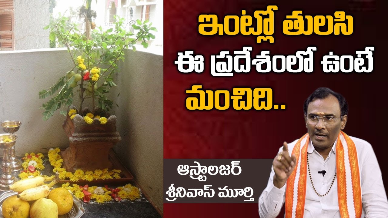 ఇంట్లో తులసి ఈ ప్రదేశంలో ఉంటె మంచిది !! Astrologer Srinivasa Murthy !! Tulasi Plant !! HiFiTV