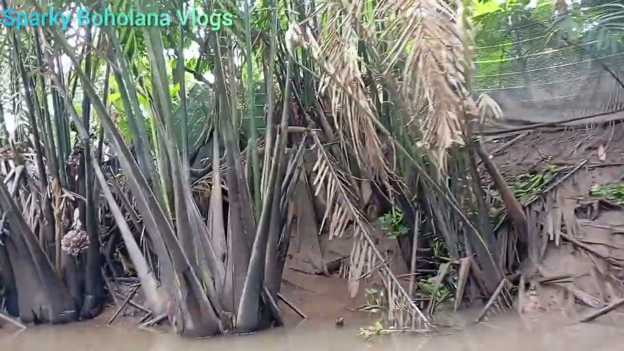 Расслабляющая прогулка на лодке сампан в городе Ми Тхо, Вьетнам 🇻🇳 | Спокойное путешествие по дел...