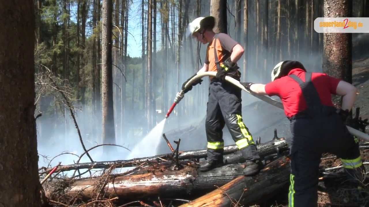 Herscheid: Waldbrand am Hang verlangt Feuerwehrmännern viel ab.