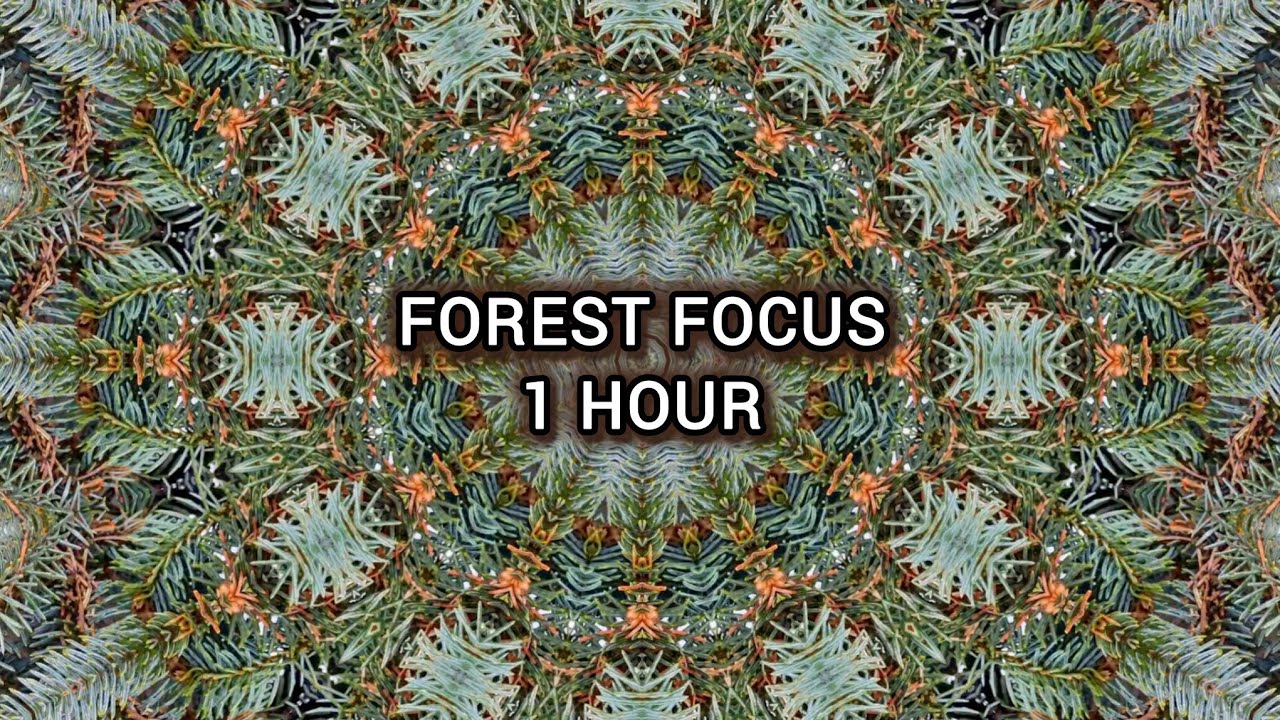 1 Hour Nature Kaleidoscope Visual for Relaxation & Sleep