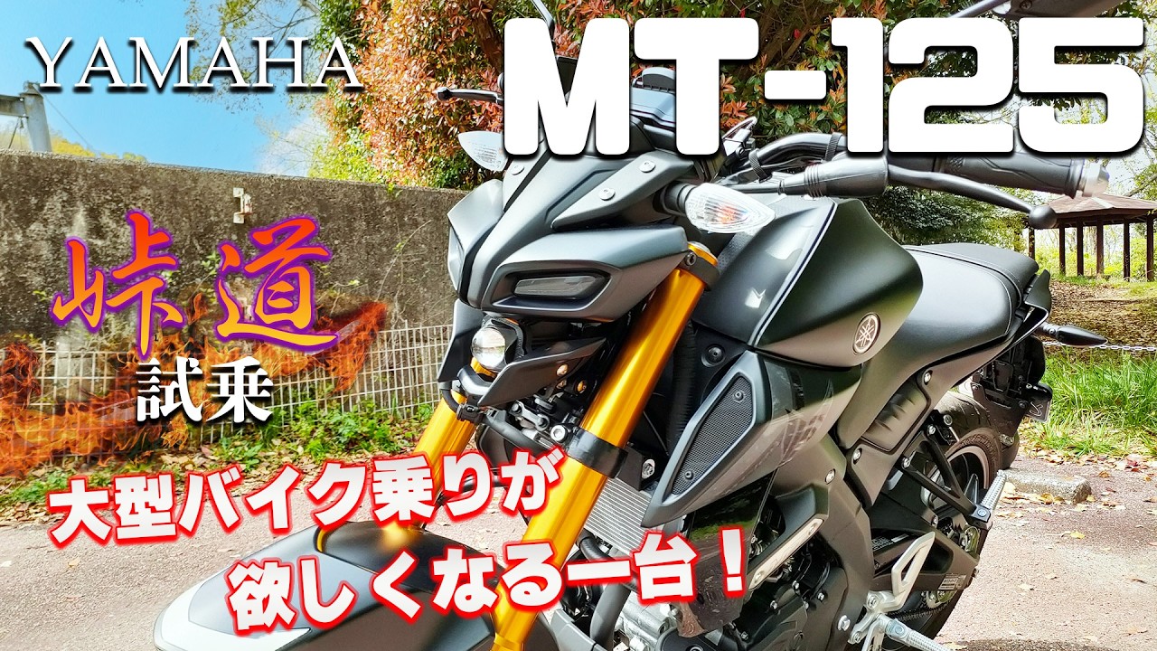 MT-125（ヤマハ）試乗インプレッション。色々乗ったけど、これ、めっちゃ良かった！