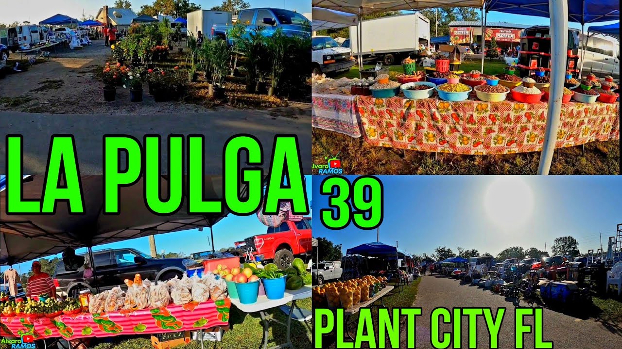 El Tianguis Oh La Pulga De La 39 En Plant City FL Flea Market Plant City FL 🇺🇸  10/29/2024