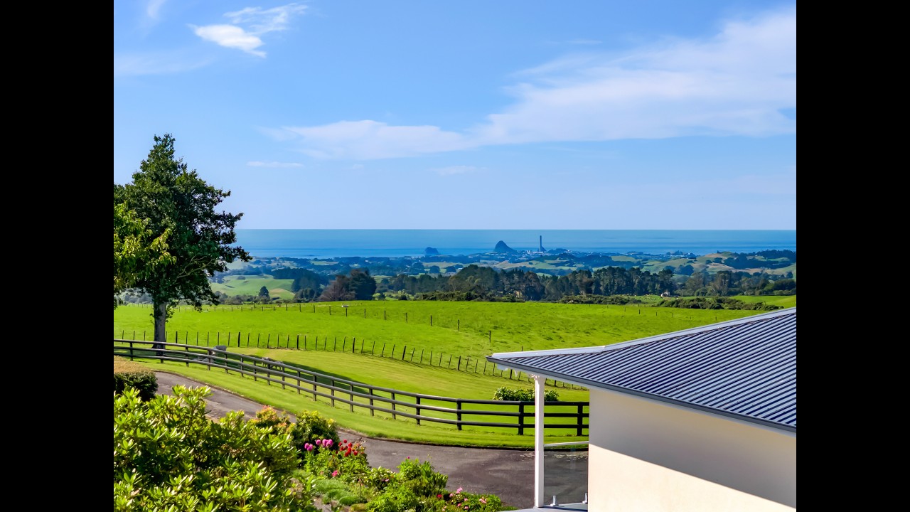 911 Plymouth Road, Koru