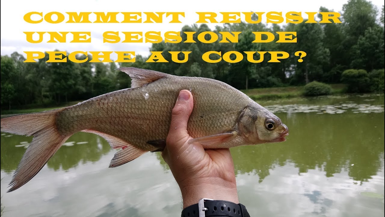 Magnifique Session de pêche au coup ! Beaucoup de poissons ! Technique et conseils