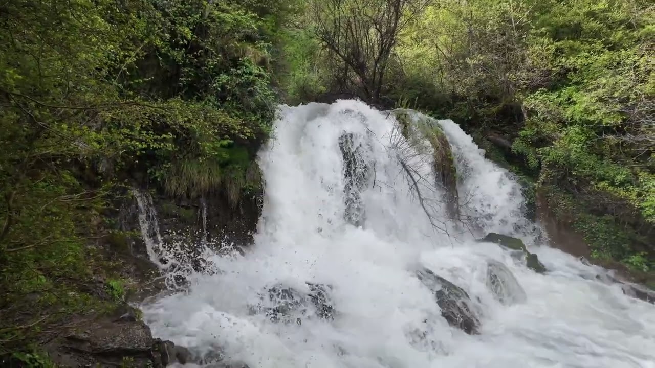 L'ADOU DEL BASTARENY BULLIDOR DE LA LLET