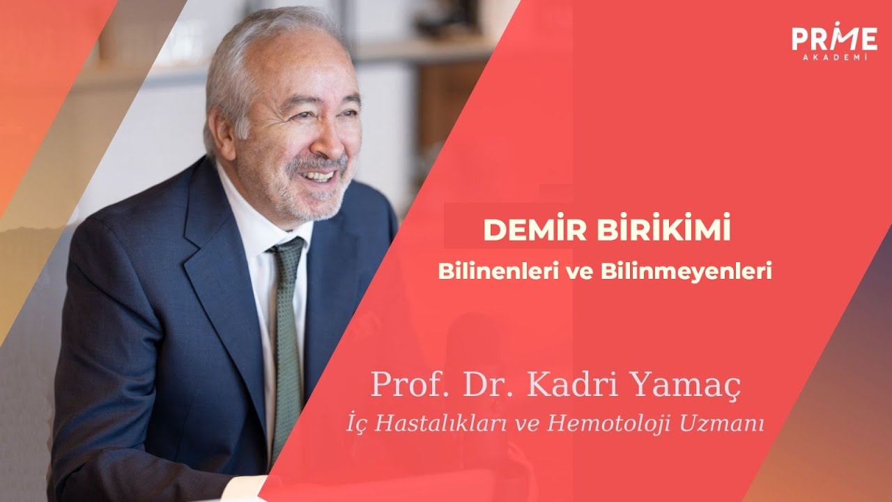 Demir Birikimi (Hemokromatozis) | Kadri Yamaç