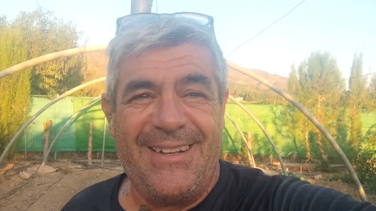 Como cultivar verduras en secano con ayuda de cartón (parte 2)