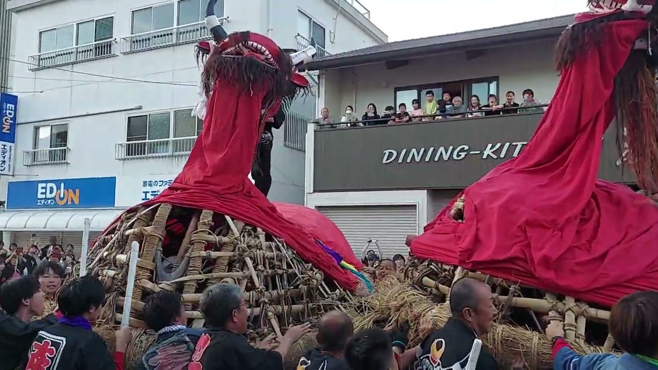 三瓶町秋祭り　鉢合わせ　大牛VS子牛　2024.10.13