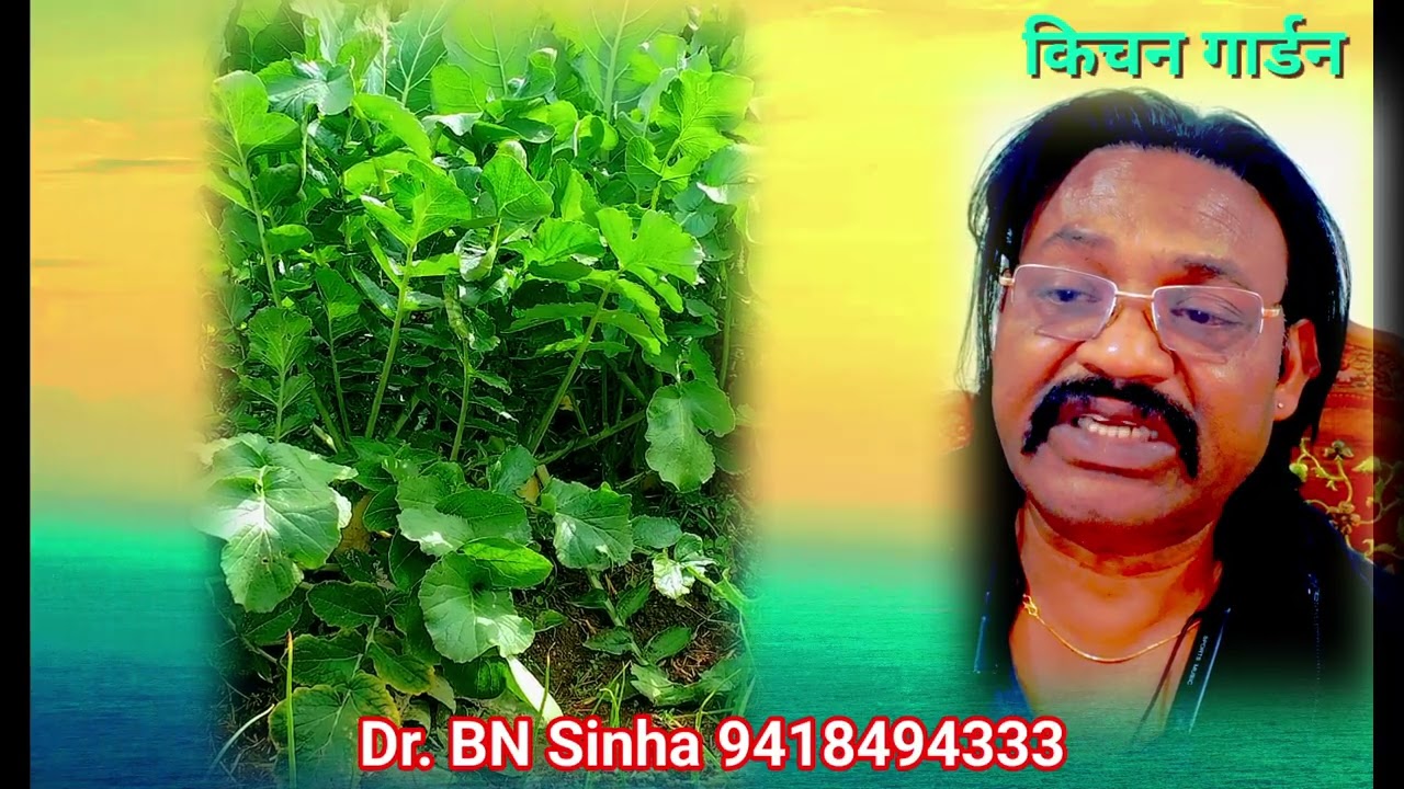 घर में उगाएँ ताज़ी और जैविक सब्ज़ियाँ | Winter Kitchen Garden