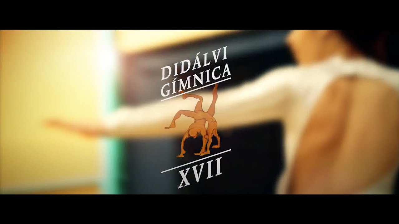 XVII Didalvigímnica