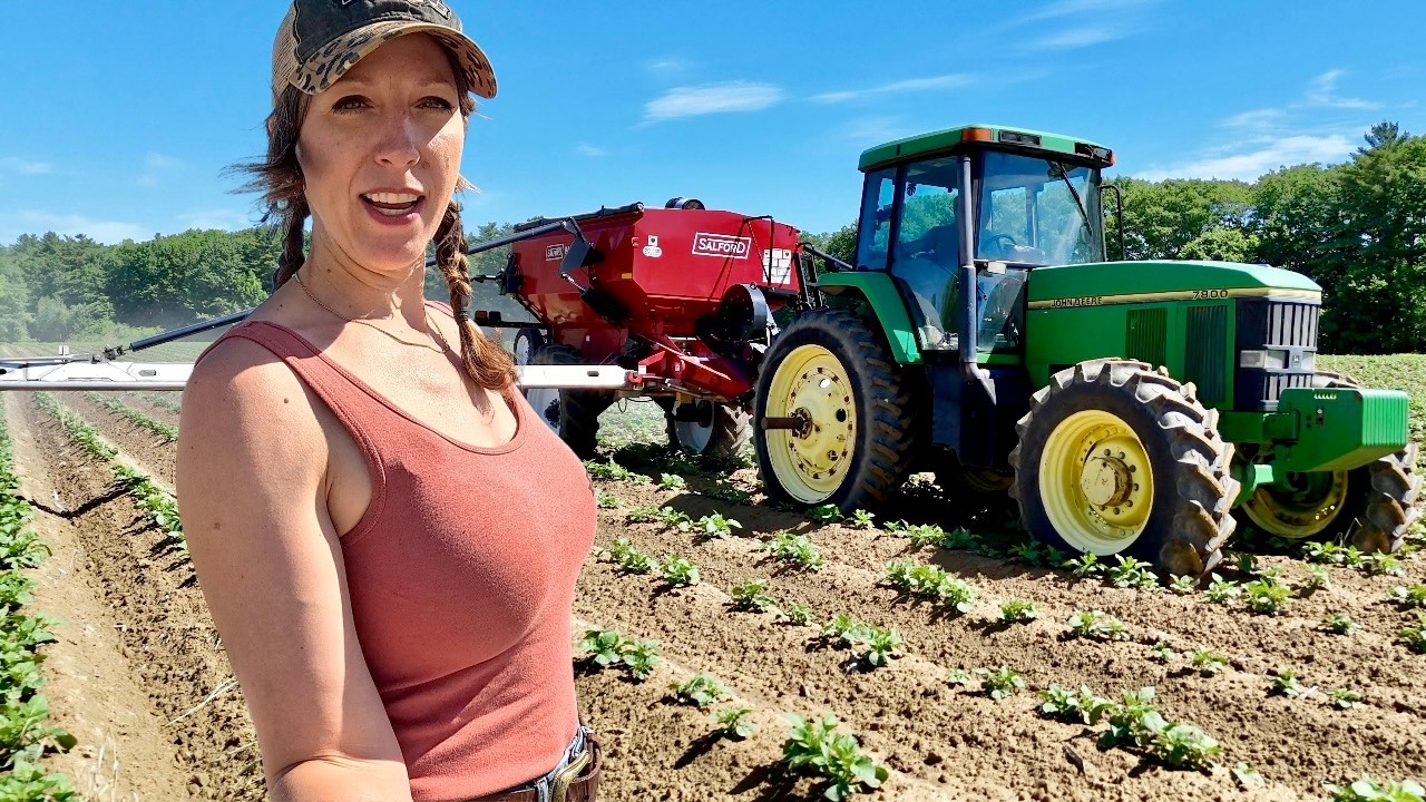 Feeding Our Potato Crop! Dry Fertilizer As Arrived