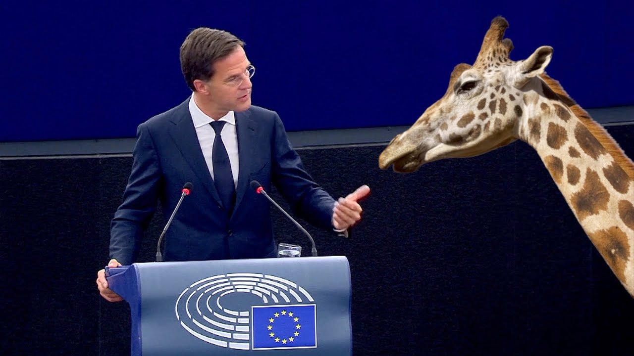 Mark Rutte compares the European Union to a giraffe