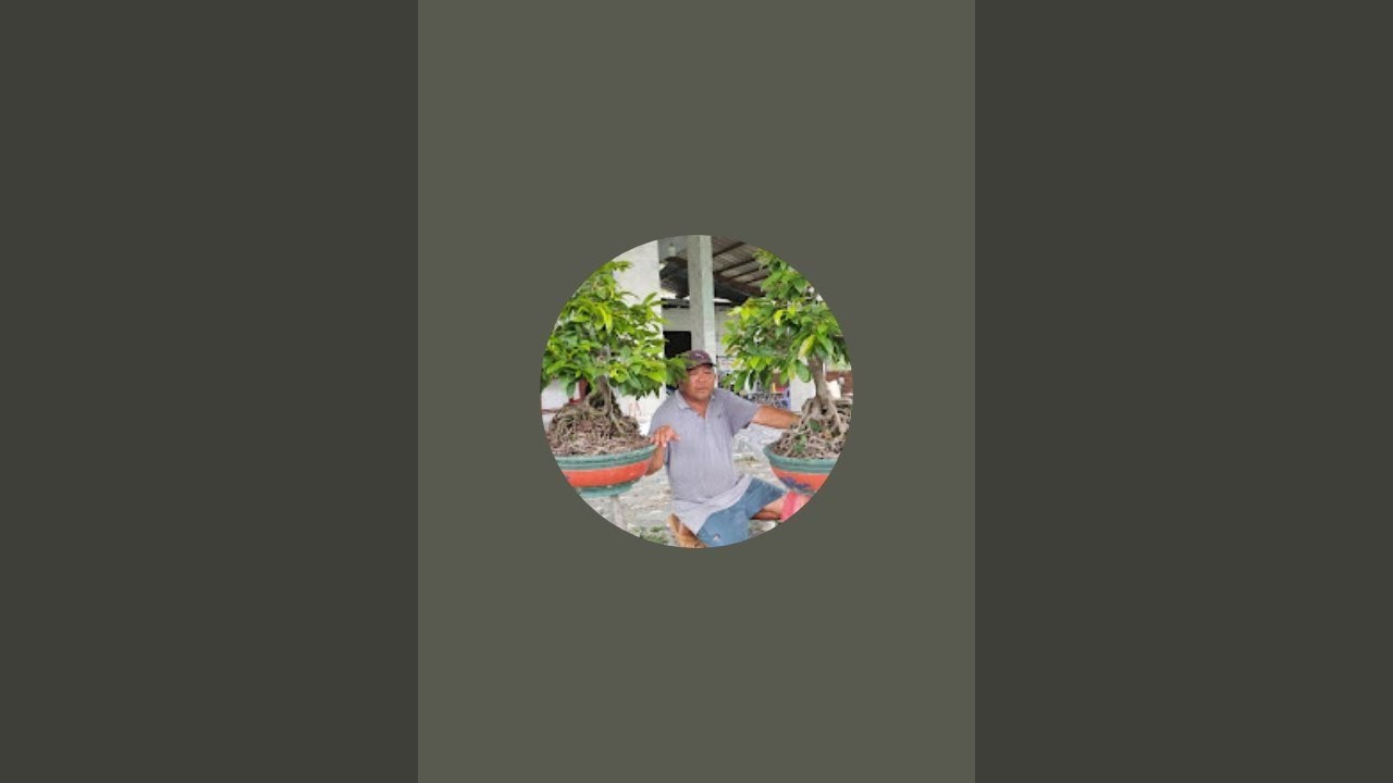 0366 048 123 MAI VÀNG MIẾNG DUNG GIAO LƯU MAI VÀNG CHƠI TẾT