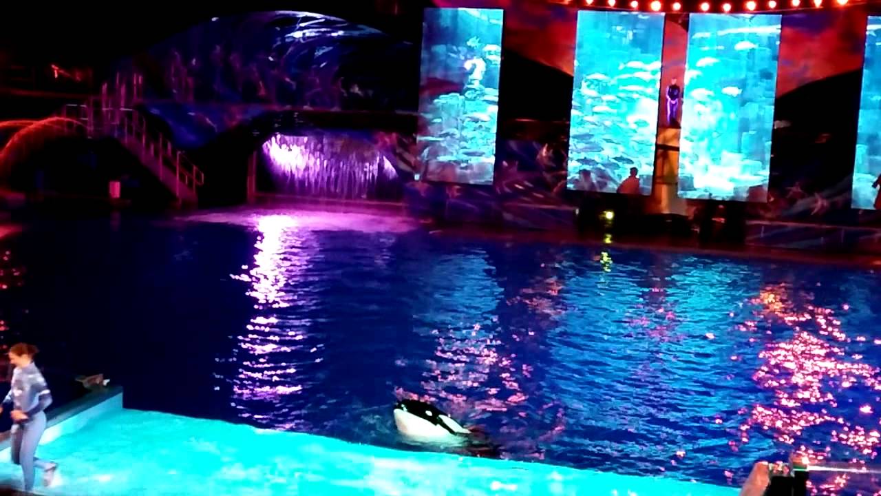 One Ocean - Night Show - 4/12/14 Side by Side Segment