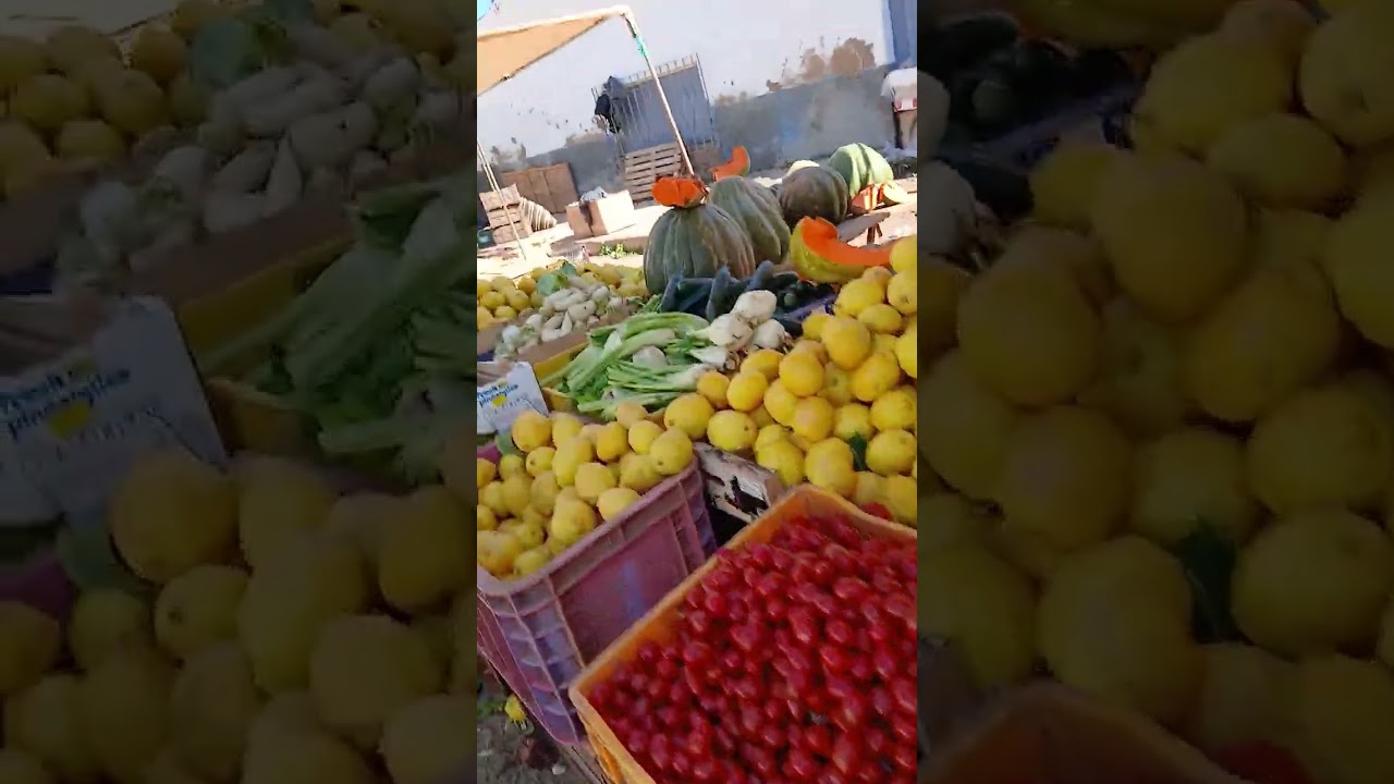 21 فبراير 2026