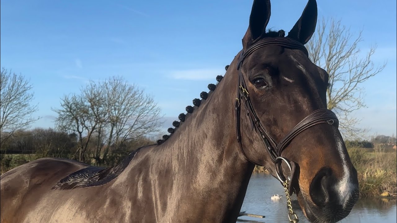 Jagger XC