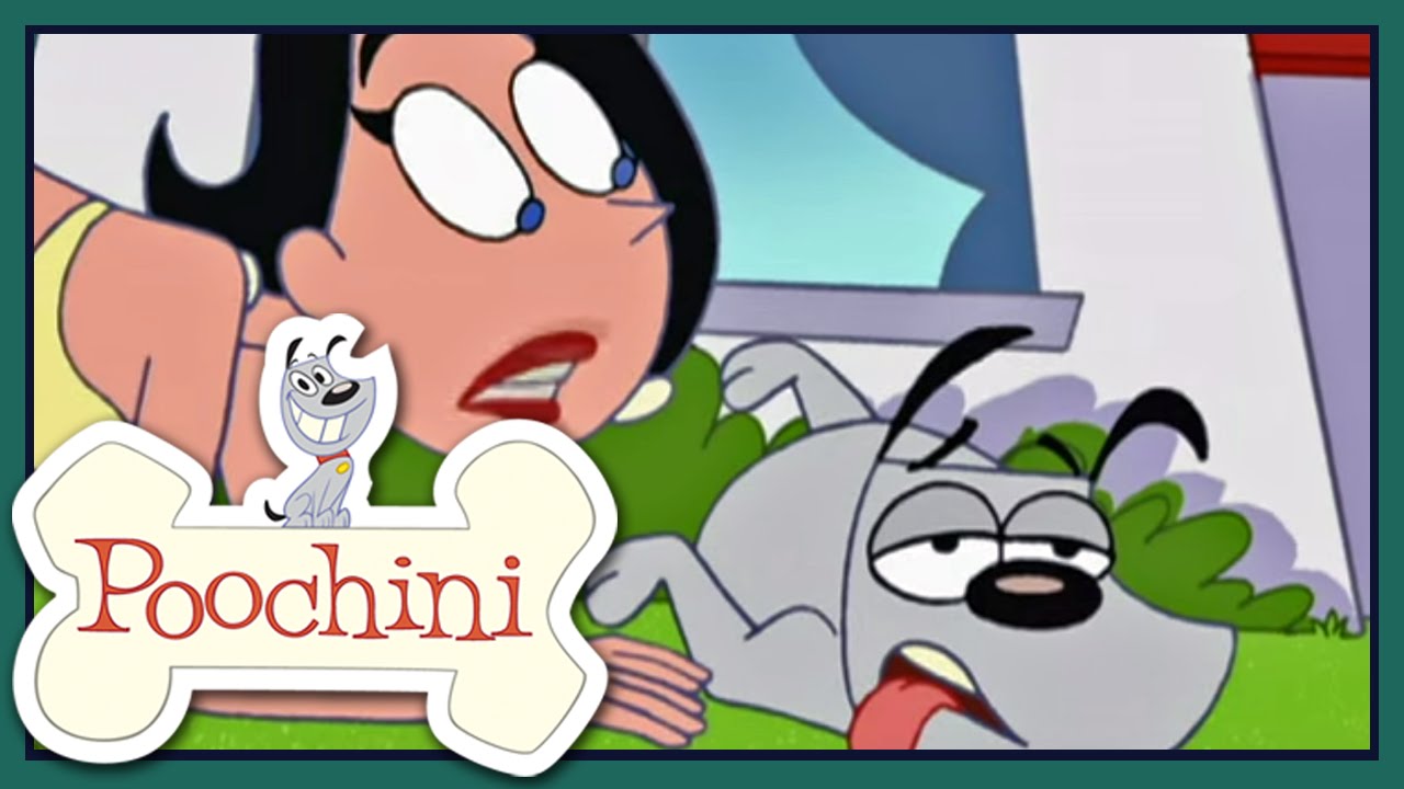 Poochini - Episódio 8 - Diva Dog / Poolside Poochini / Newsboy Rampage