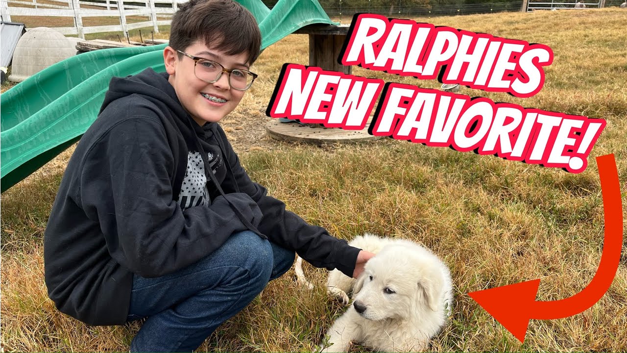 We Got A Puppy! Sleeperdude Families New Guard Dog.