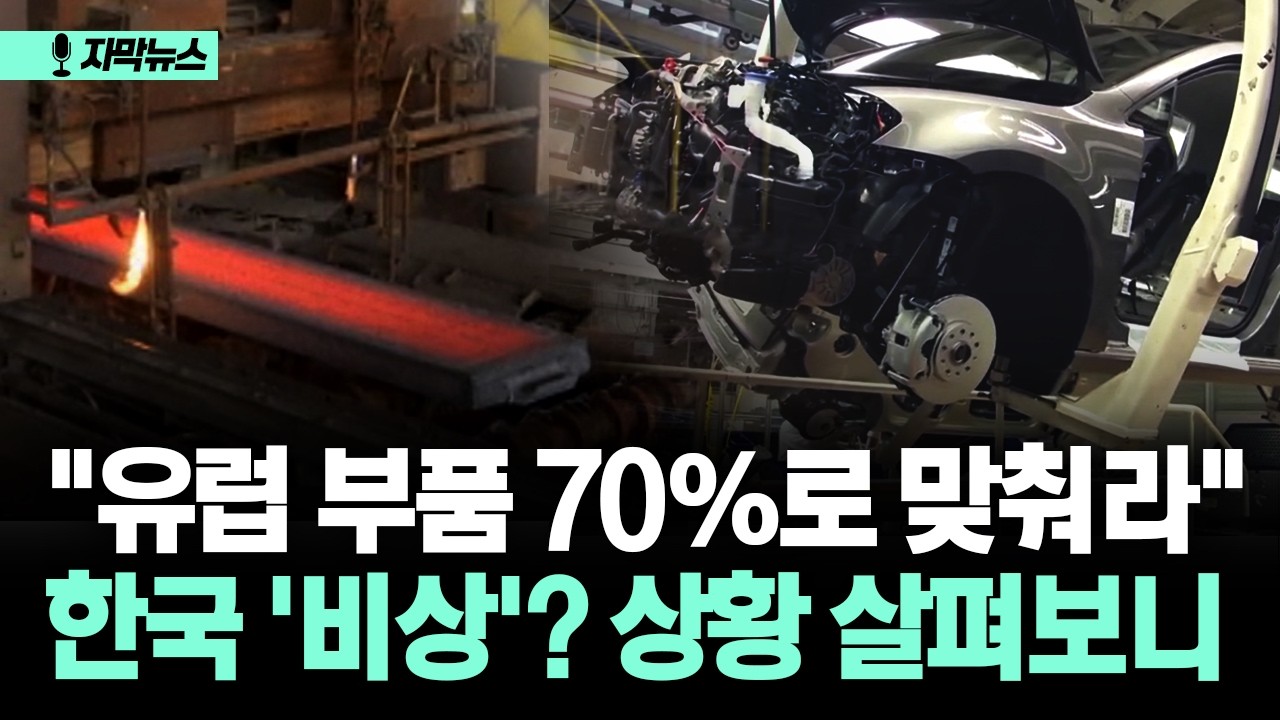 [자막뉴스] 
