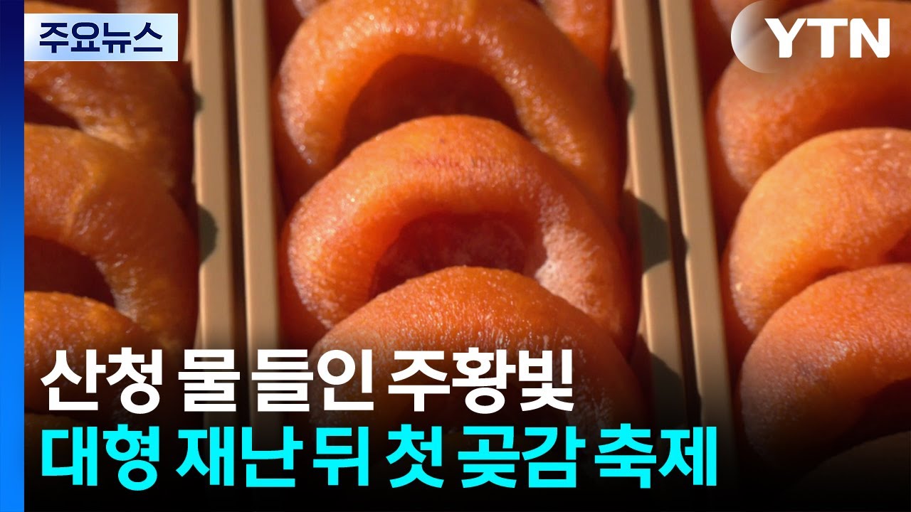 산불&middot;수해 뒤 첫 곶감 축제...산청서 펼쳐진 주황빛 향연 / YTN