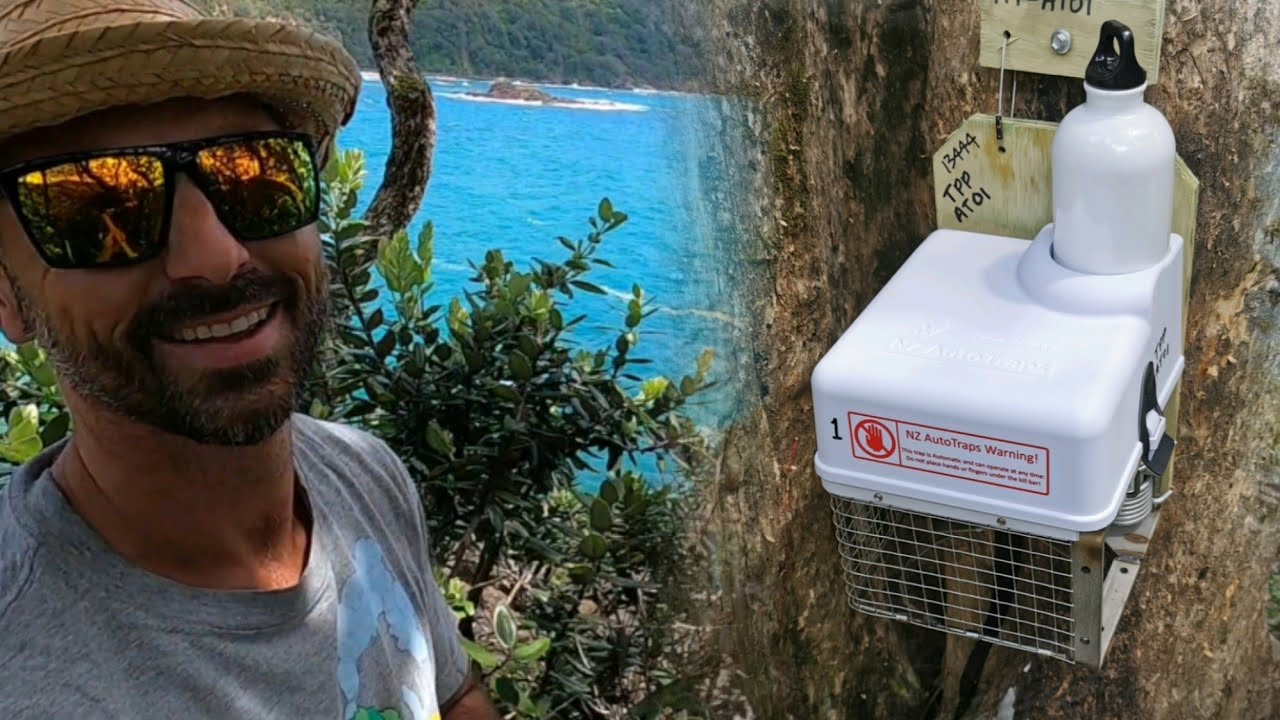 Trapping! Autotrap Installation in Beautiful Coromandel Bush