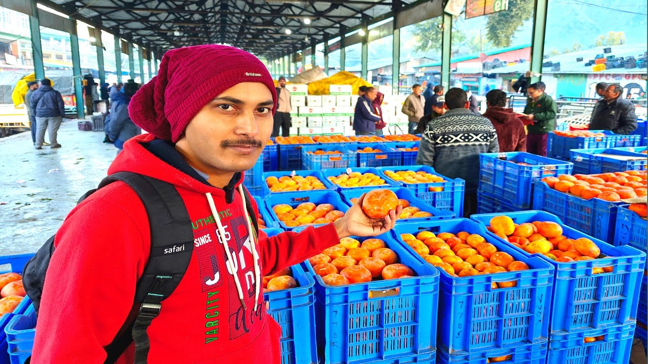 Himachal Pradesh ka Famous Fal 🤤😍