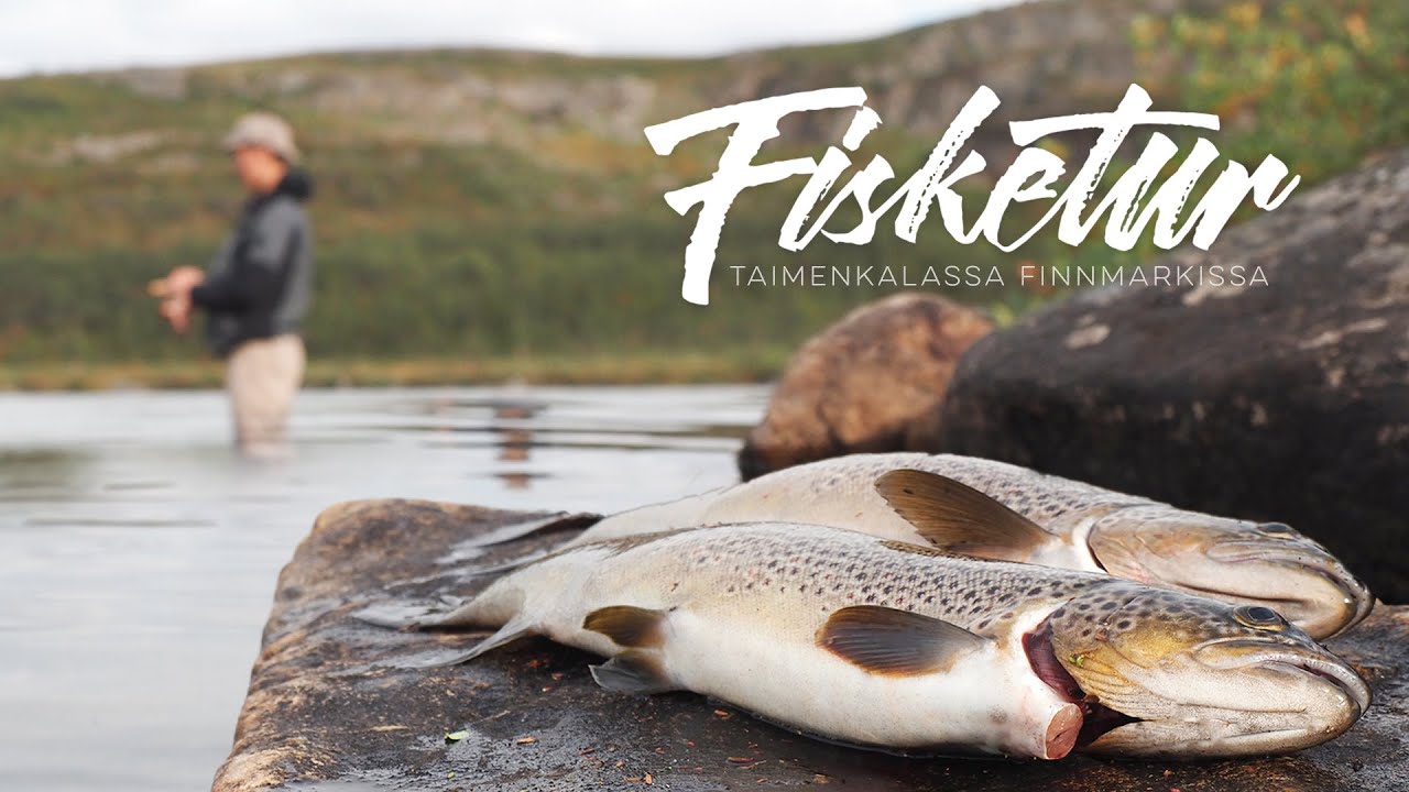 Fishing trip in Finnmark, Norway [ENG SUB]