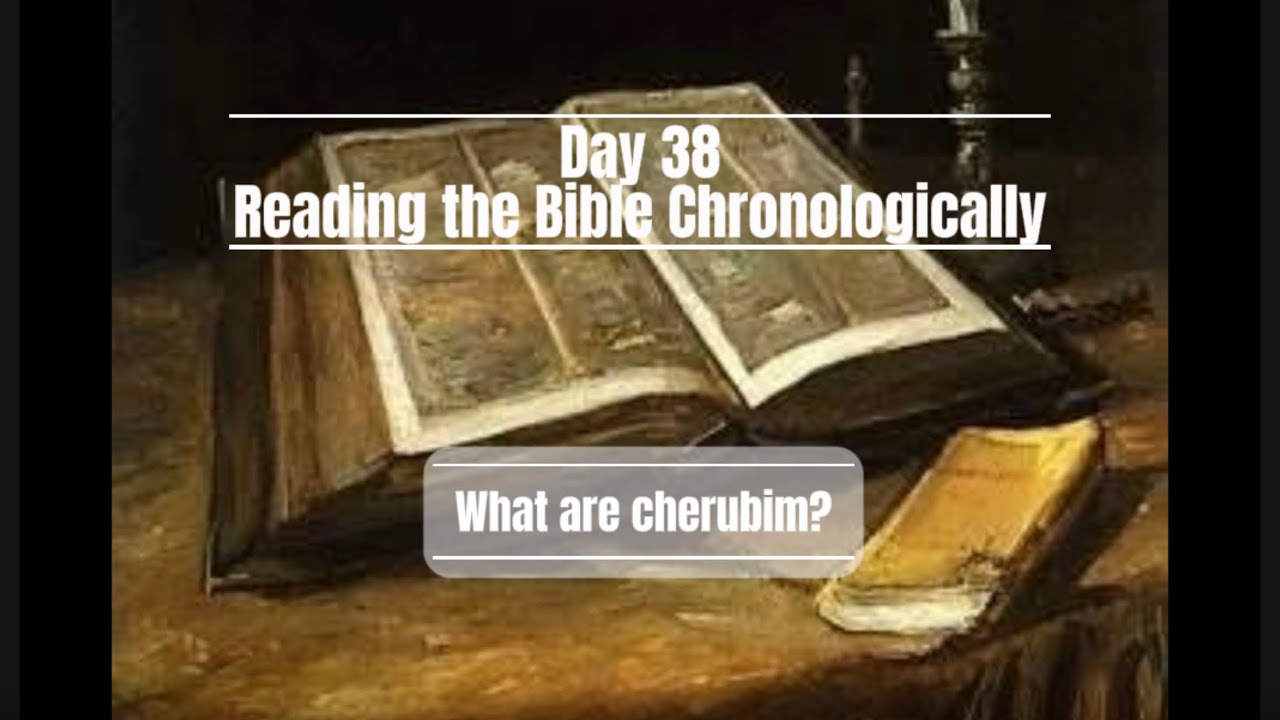 Day 38 - What was the purpose of the ark?