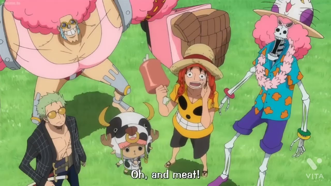 One piece | casual day of Strawhat pirates on Sunny