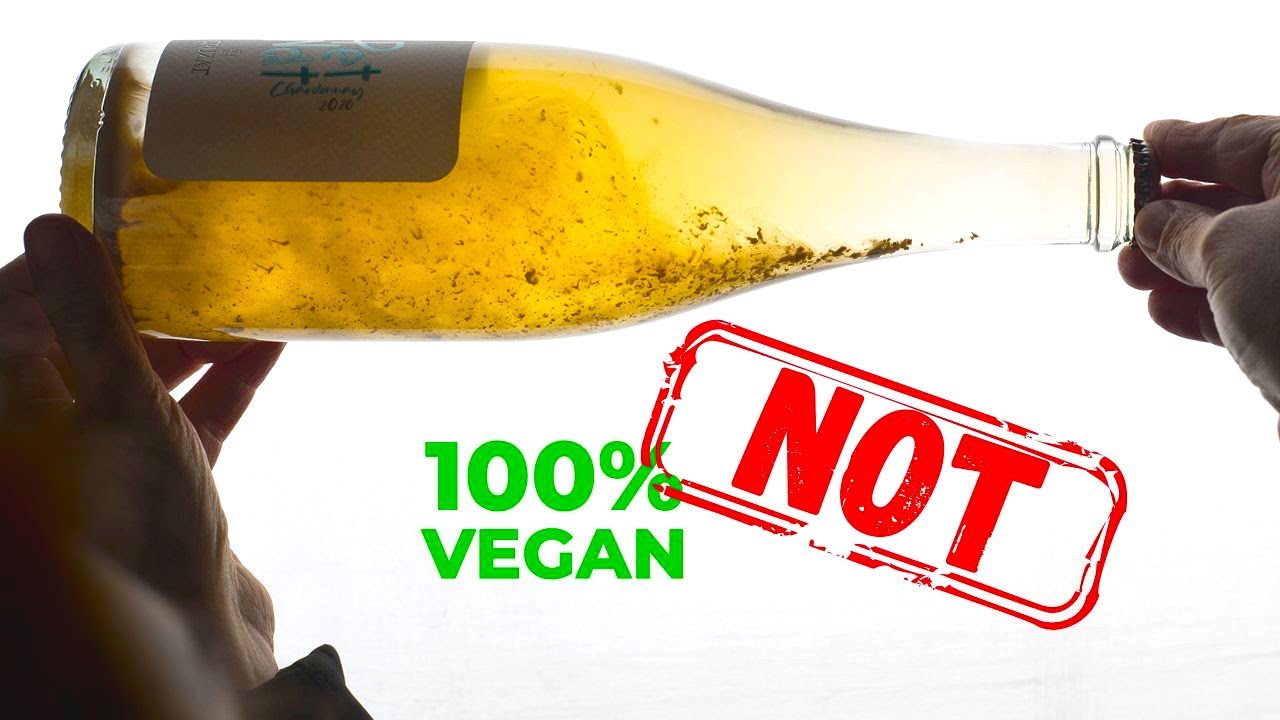 YOU'RE NOT VEGETARIAN IF YOU DRINK WINE. Here's Why