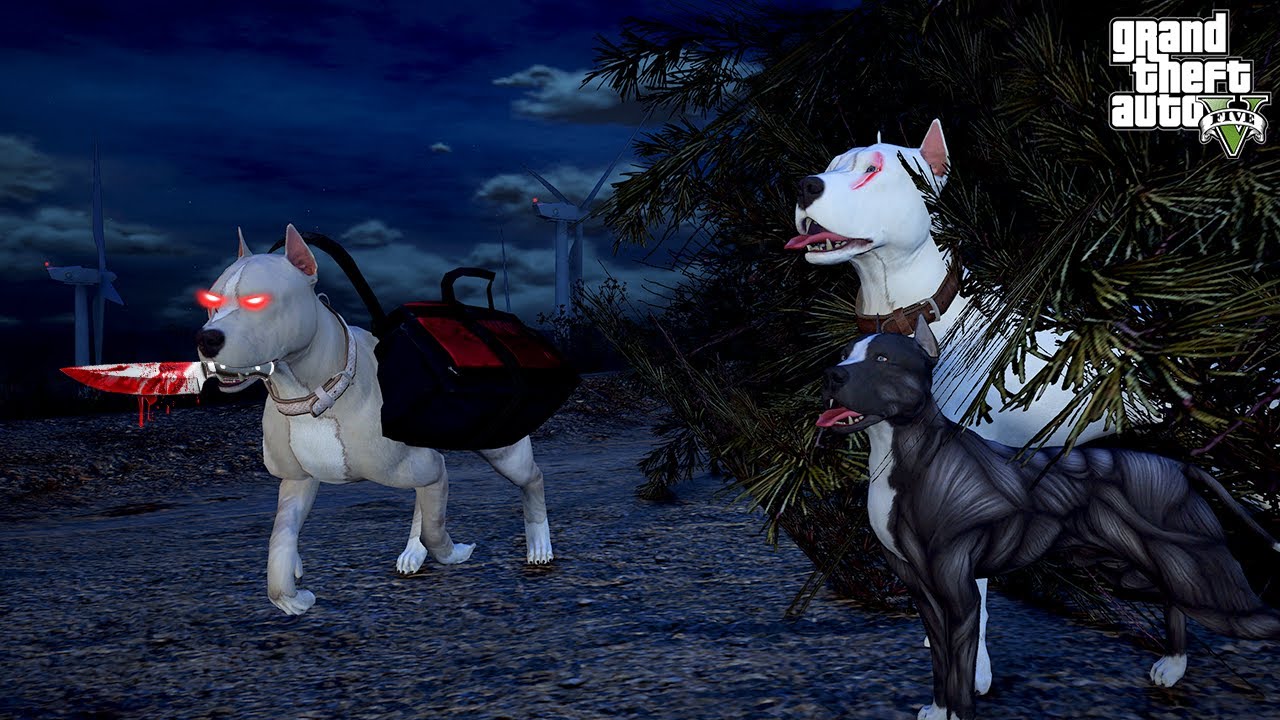 PİTBULL AİLESİNDE HAİN VAR! TERMİNATÖR AMCASI KRATOS'U GİZLİCE TAKİP EDİYOR! - GTA 5