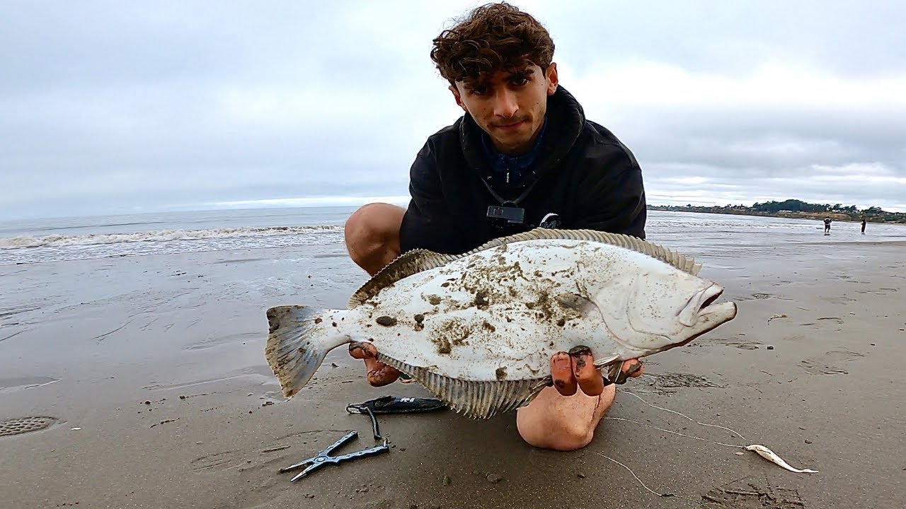 Halibut Fishing from the Beach in Northern California