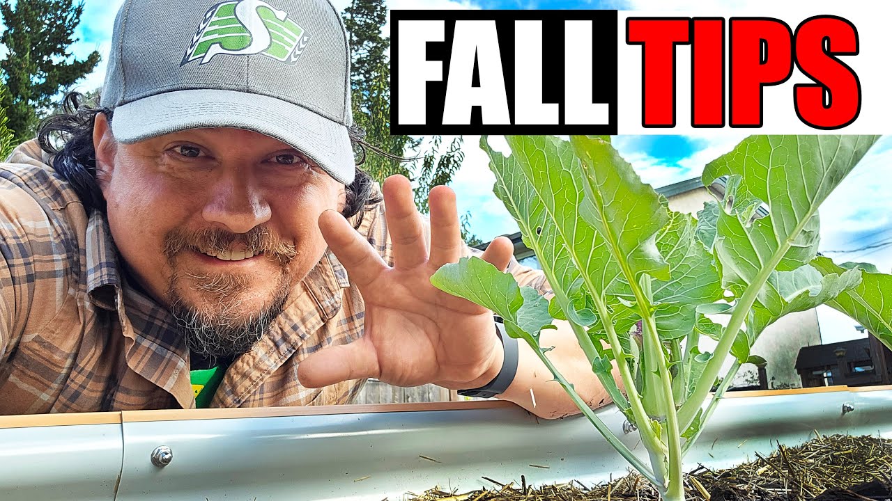 5 Tips For Fall Gardening Success - Garden Quickie Episode 266