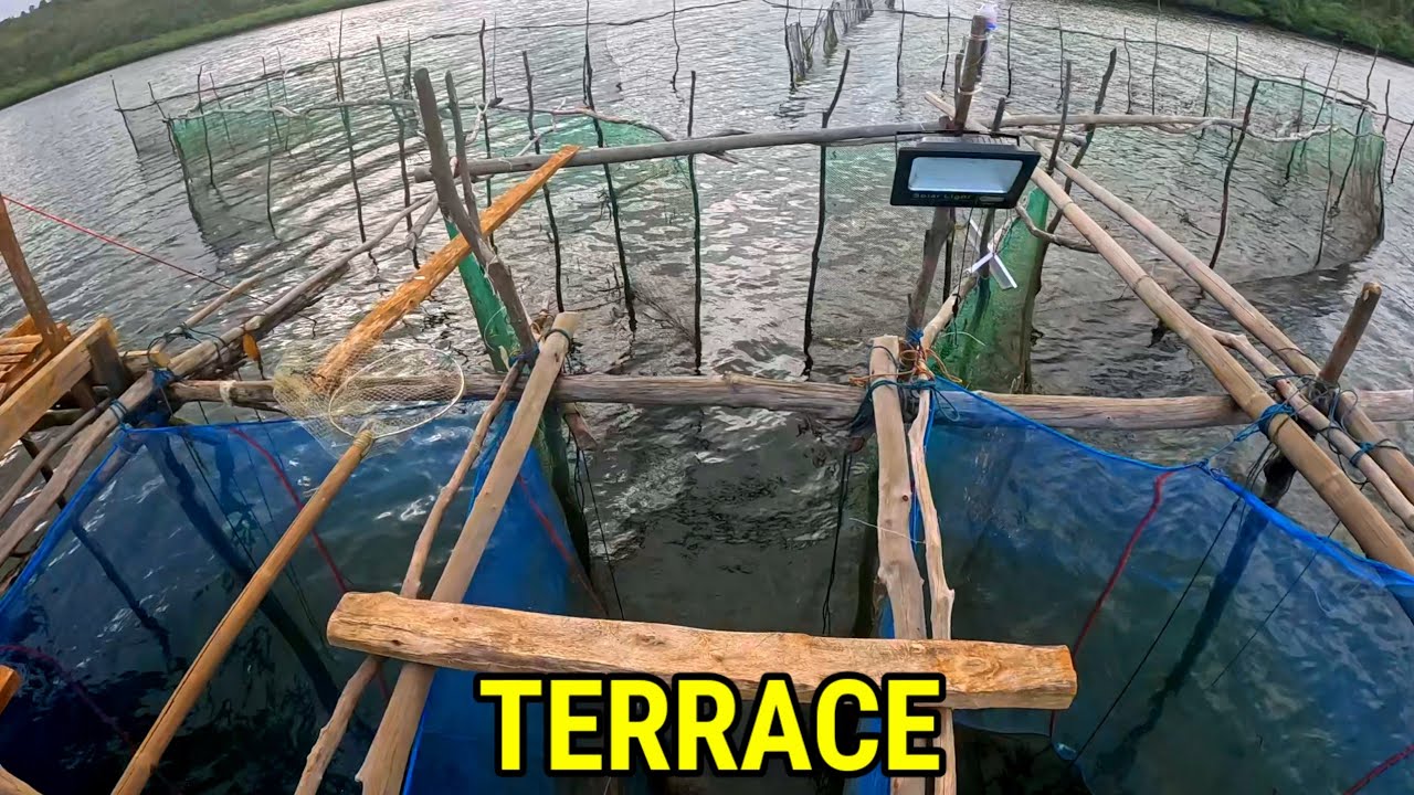 MAY BUBONG NA ANG TERRACE SA ATING PAYAG
